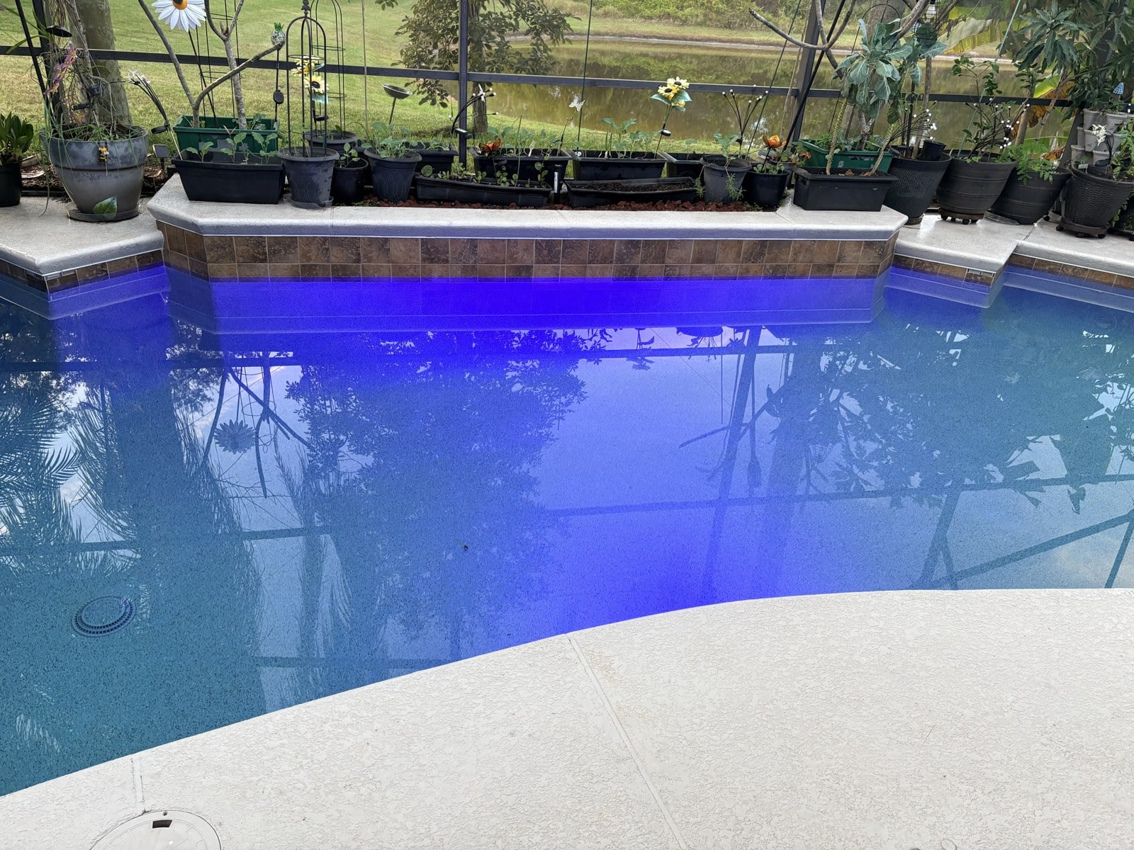 Residential pool