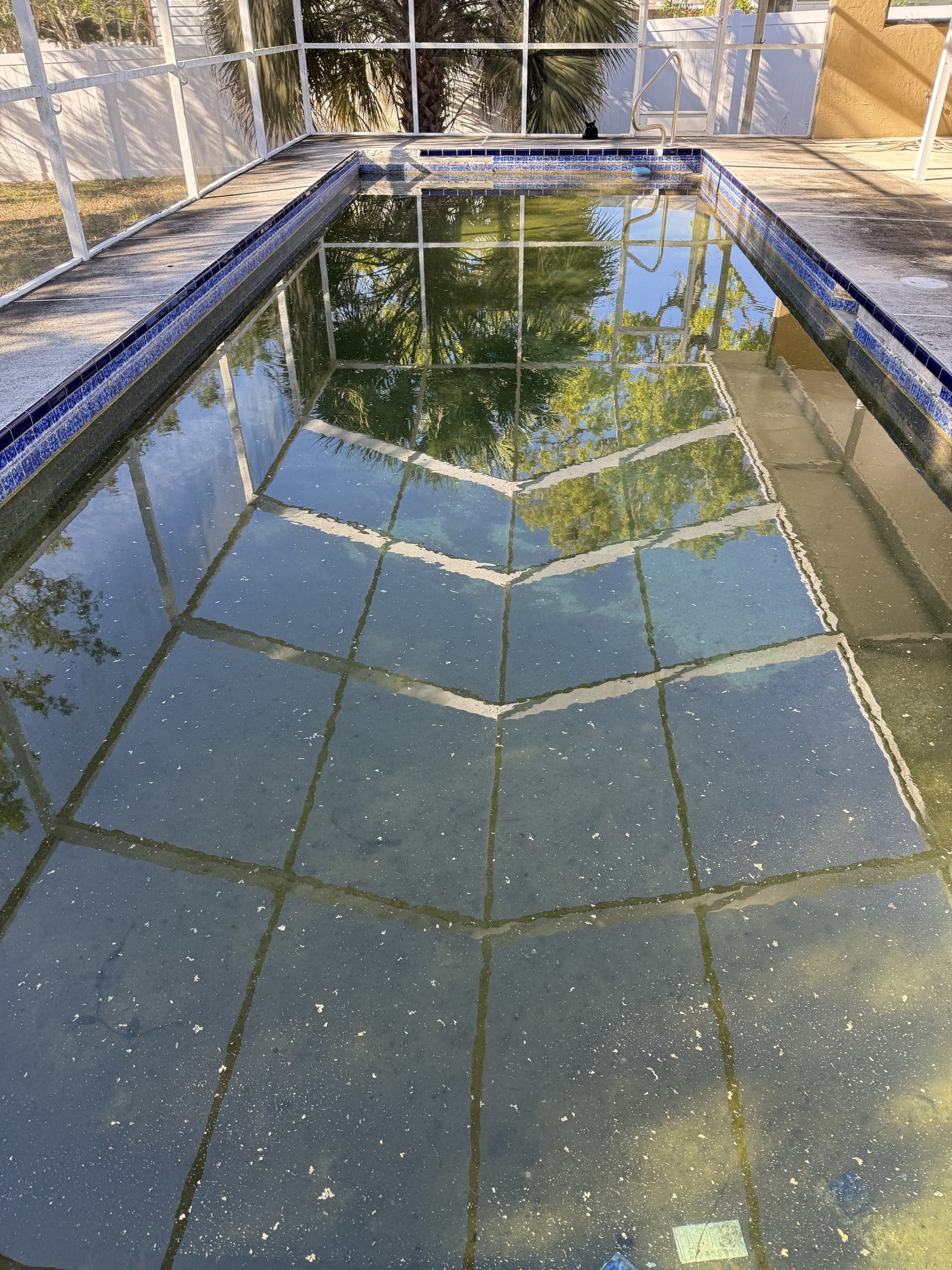 Residential pool