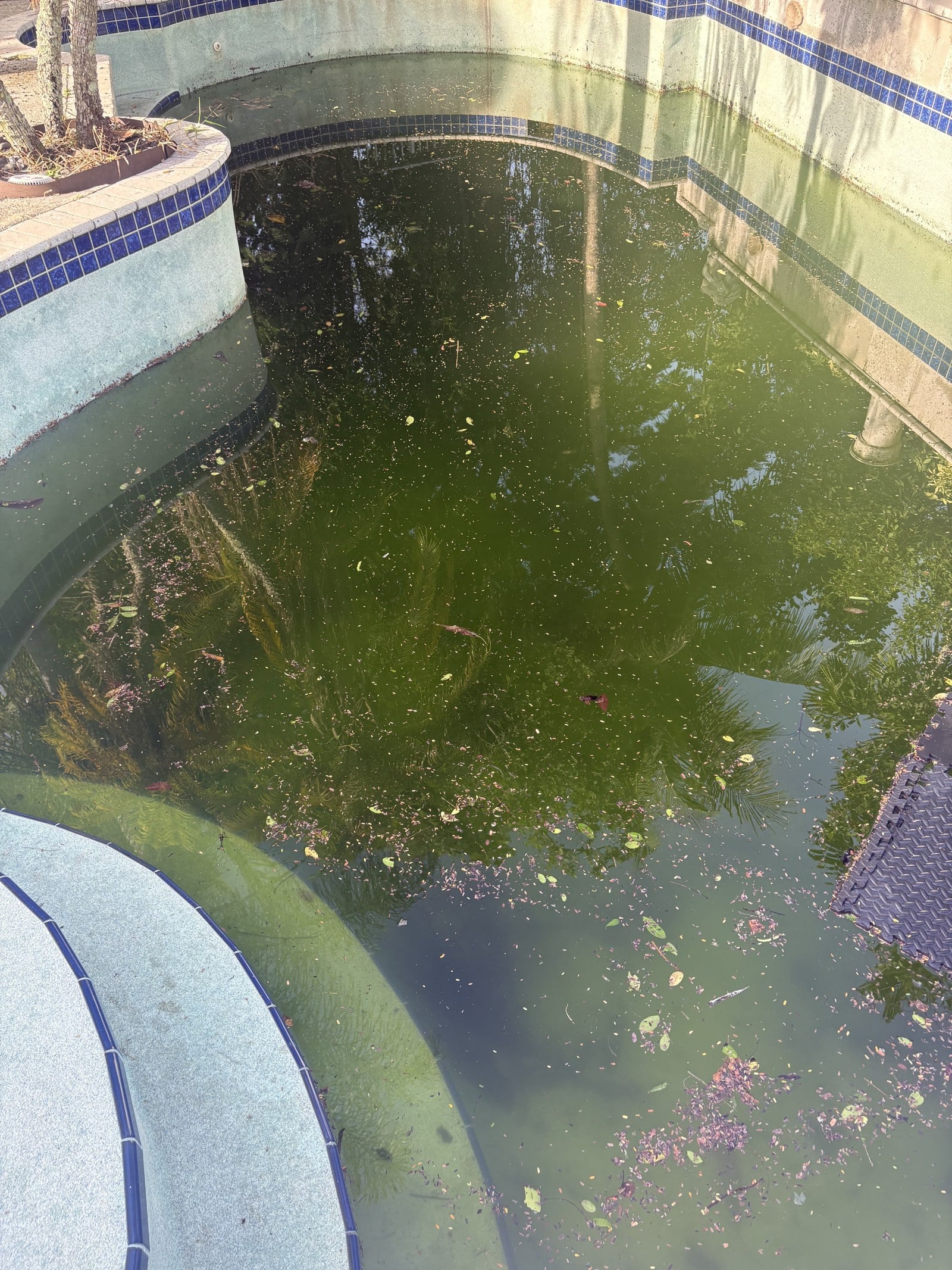 Custom pool construction