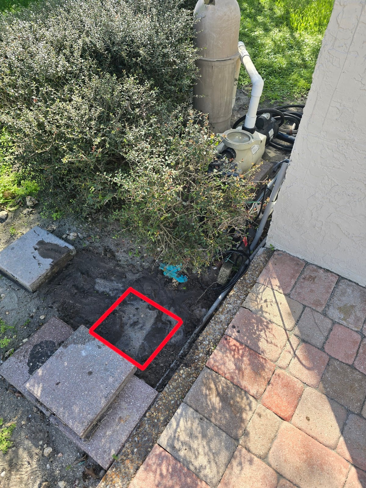 Residential pool