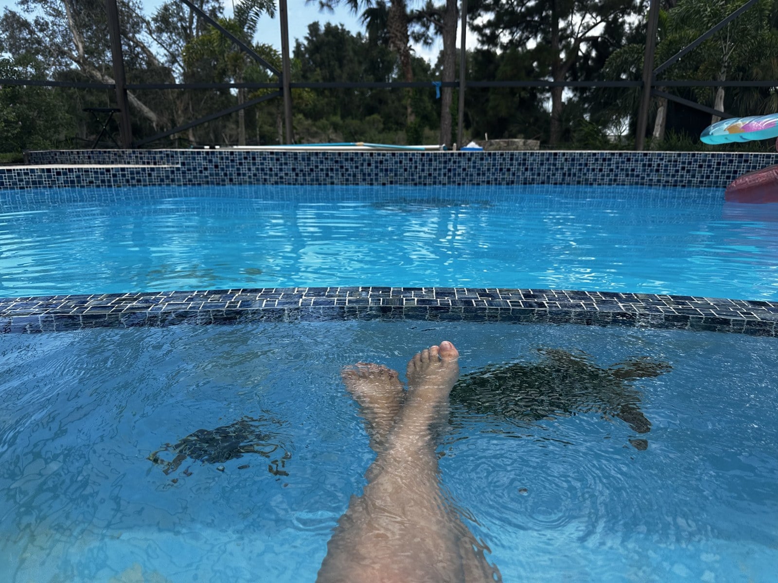 Spa & hot tub