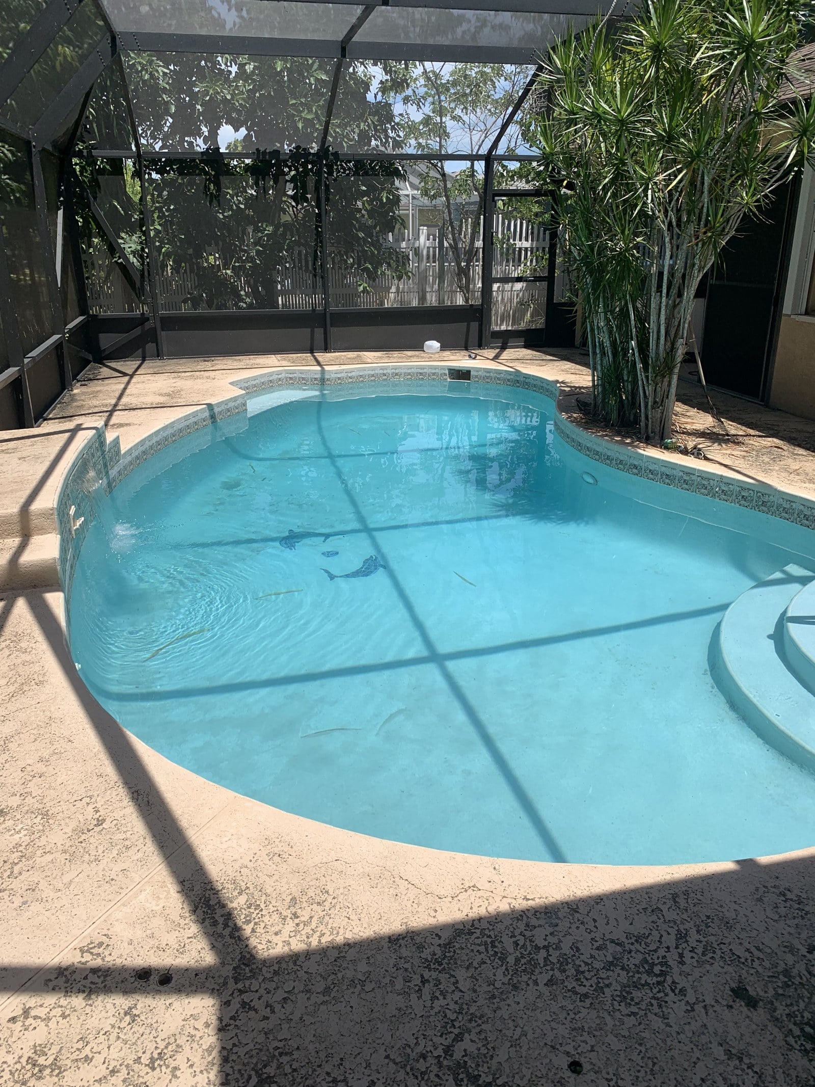 Residential pool