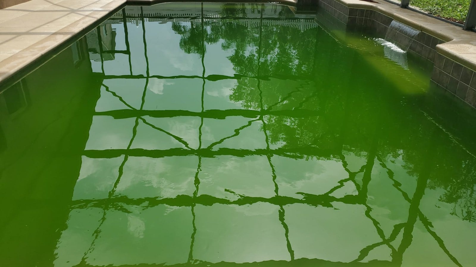 Custom pool construction
