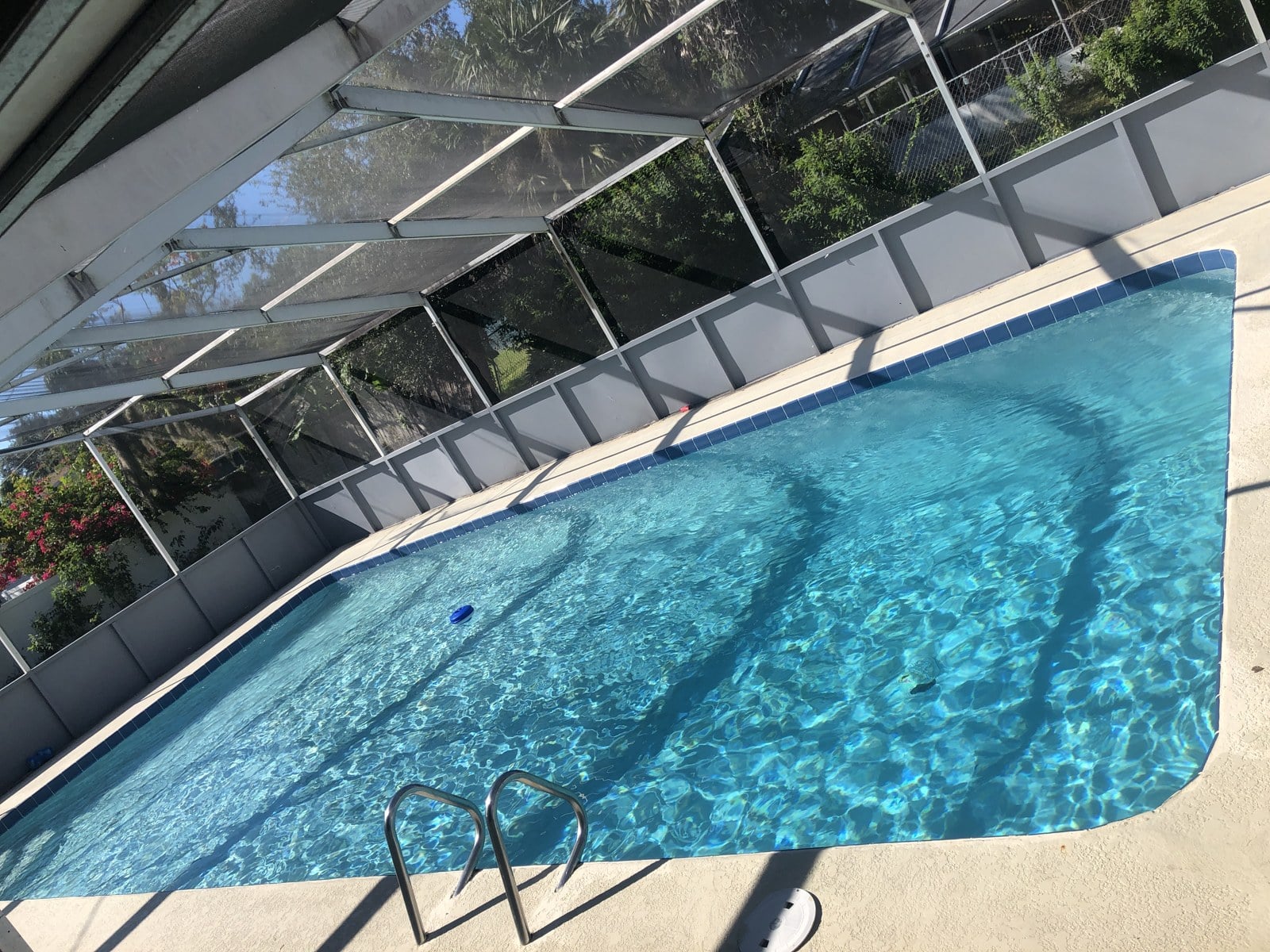 Residential pool